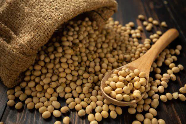 Considering Soy What is soya and is it safe and healthy?